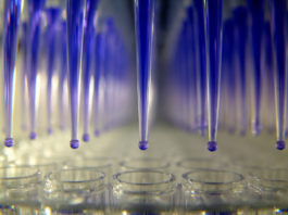 Le previsioni per il mercato dei farmaci orfani