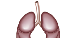 Nuove analisi su nintedanib per la fibrosi polmonare idiopatica