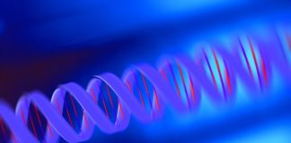 Quizartinib per la leucemia mieloide acuta