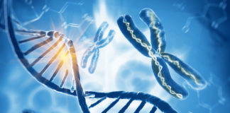 FDA: sei linee guida per lo sviluppo delle terapie geniche