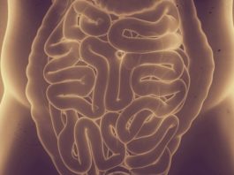 Parere positivo del CHMP dell’EMA su tofacitinib citrato per la colite ulcerosa