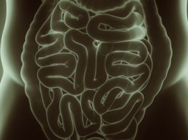 Nuovi dati su vedolizumab per la colite ulcerosa