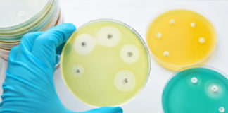 Combinazioni di antibiotici per la lotta ai superbug