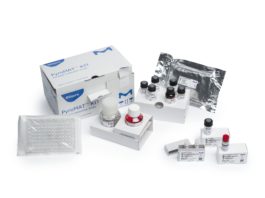 Kit test per la ricerca di pirogeni