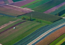 Botanicals, how to guarantee quality vegetable raw materials? Botanicals garantire materie prime vegetali di qualità per gli integratori