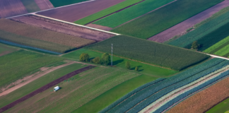 Botanicals, garantire materie prime vegetali di qualità Botanicals garantire materie prime vegetali di qualità per gli integratori