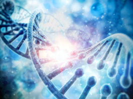 Un modello matematico per descrivere le simmetrie nascoste del Dna