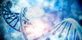 Un modello matematico per descrivere le simmetrie nascoste del Dna