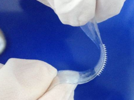 Nuova tecnologia per cerotti a microaghi cerotti a microaghi - Materias e Ibsa