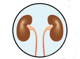Avelumab in associazione con axitinib per il carcinoma renale metastatico