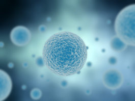 L’Hiv è conosciuto? hiv e AIDS