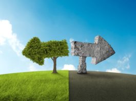 L’imballaggio dei farmaci si deve adeguare alla green economy