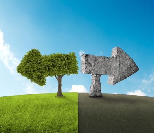 L’imballaggio dei farmaci si deve adeguare alla green economy