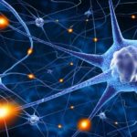 Un possibile bersaglio molecolare nella malattia di Huntington