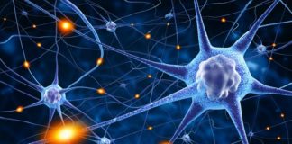 Risdiplam per l’atrofia muscolare spinale