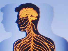 Dati a lungo termine sul trattamento precoce con ocrelizumab per la SM