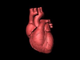 Risultati di studi di AstraZeneca per il trattamento dell’insufficienza cardiaca