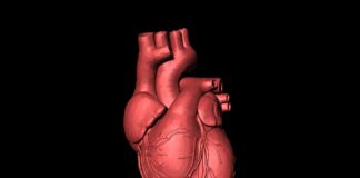 Risultati di studi di AstraZeneca per il trattamento dell’insufficienza cardiaca