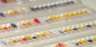 Studi clinici randomizzati adattabili per contrastare l’Amr