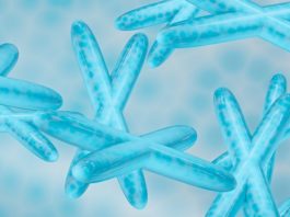 Molecole antisenso per la progeria o sindrome di Hutchinson-Gilford