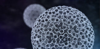 Commissione EU: nuove indicazioni per l’uso degli Aav nelle terapie geniche in vivo