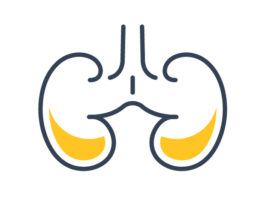 Approvata dalla CE avelumab/axitinib per il carcinoma renale avanzato