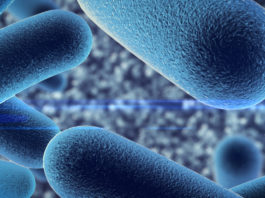 Vescicole extracellulari e diffusione dell’HIV vescicole extracellulari lattobacilli HIV