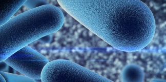 Vescicole extracellulari e diffusione dell’HIV vescicole extracellulari lattobacilli HIV