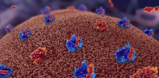 Rimborsabile l’associazione venetoclax compresse e rituximab per la leucemia linfatica cronica La rimborsabilità rilasciata da parte di AIFA all'associazione venetoclax compresse e rituximab apre la strada anche in Italia ad un’opzione terapeutica chemo-free, con una durata fissa di trattamento di 24 mesi per la leucemia linfatica cronica