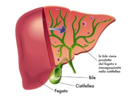 Pemigatinib per il colangiocarcinoma Pemigatinib per il colangiocarcinoma