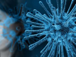 Vaccino express per coronavirus?