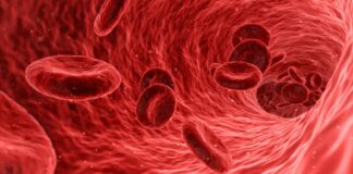 Parte lo studio della CoVIg-19 Plasma Alliance destinato a valutare l’efficacia delle immunoglobuline specifiche (ITAC) contro Sars-Cov-2
