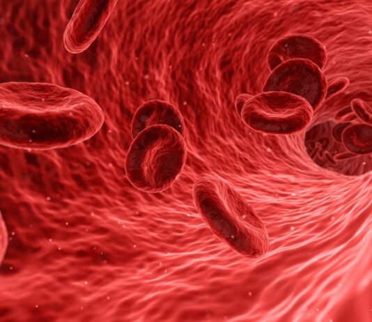 Parte lo studio della CoVIg-19 Plasma Alliance destinato a valutare l’efficacia delle immunoglobuline specifiche (ITAC) contro Sars-Cov-2