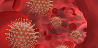 Accordo Regeneron-Governo USA per la fornitura di anticorpi contro Covid-19