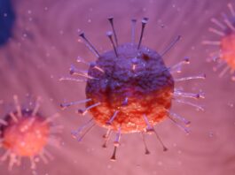 Farmaci Serm, una possibile nuova arma contro SARS-CoV-2