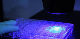 Imaging biomedicale, una guida alla scelta delle telecamere di machine vision