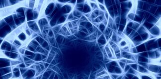 All’italiano Adriano Chiò il Forbes Norris Award 2021 nel campo della SLA