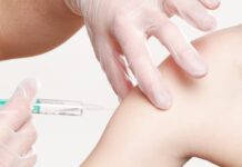 Vaccini per la tubercolosi sul modello Covid