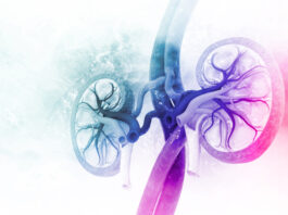 Nefrite lupica, approvata l’indicazione per il farmaco di GSK