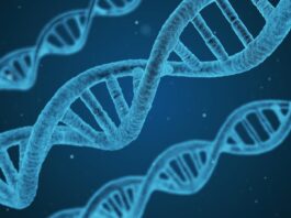 Un nuovo istituto di ricerca per GSK e Università di Oxford