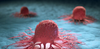 Piattaforma ex vivo per predire l’efficacia delle terapie antitumorali PD-1