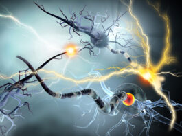 Neurostimolazione, Merck e B.Braun collaborano allo sviluppo di un nuovo dispositivo