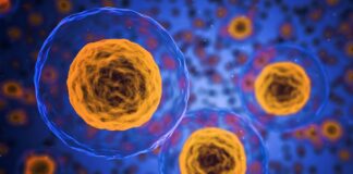 Dall’ATMPForum il IV Rapporto sulle terapie avanzate in Italia