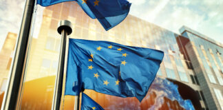 Gli ultimi sviluppi in tema di proprietà intellettuale in Italia e in Europa