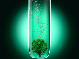 Bari, al via un progetto per farmaci green