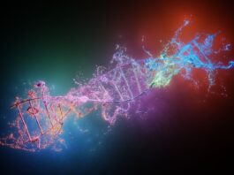 Uno studio segnala cautela sui possibili effetti delle tecniche CRISPR