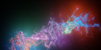 Uno studio segnala cautela sui possibili effetti delle tecniche CRISPR