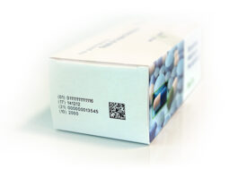 La connetività software