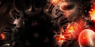 Presentanti i risultati del progetto APRI 2.0 sulla lotta all’HIV/AIDS