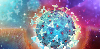 SARS-CoV-2, nei recettori ACE2 il nuovo bersaglio terapeutico